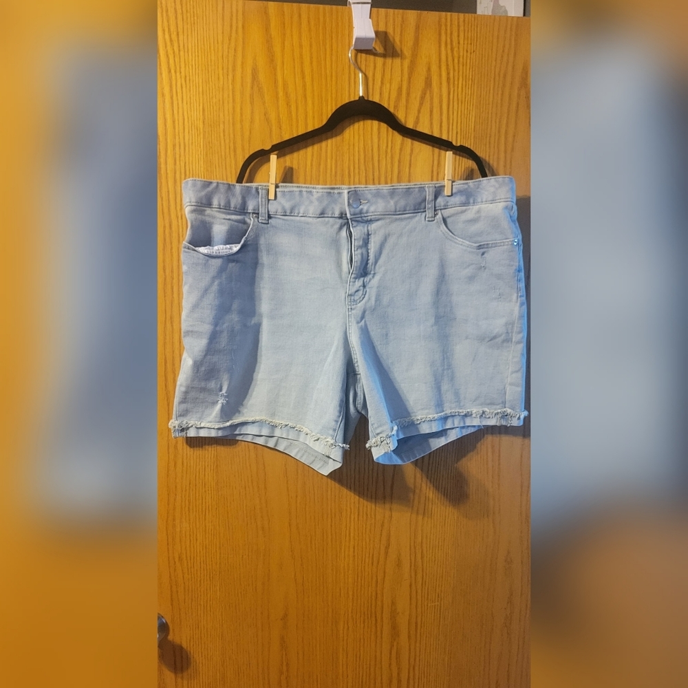 Terra & sky plus size denim shorts
